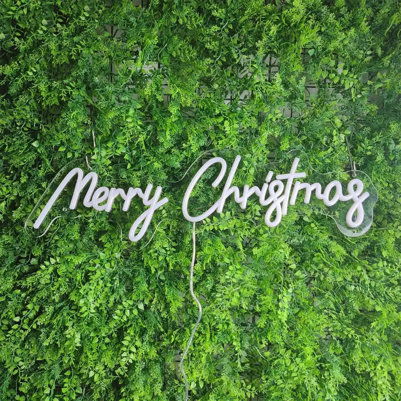 Merry Christmas Neon Sign - USB Powered, Adjustable Brightness for Festive Home & Party Decor, Perfect Gift for Family and Friends